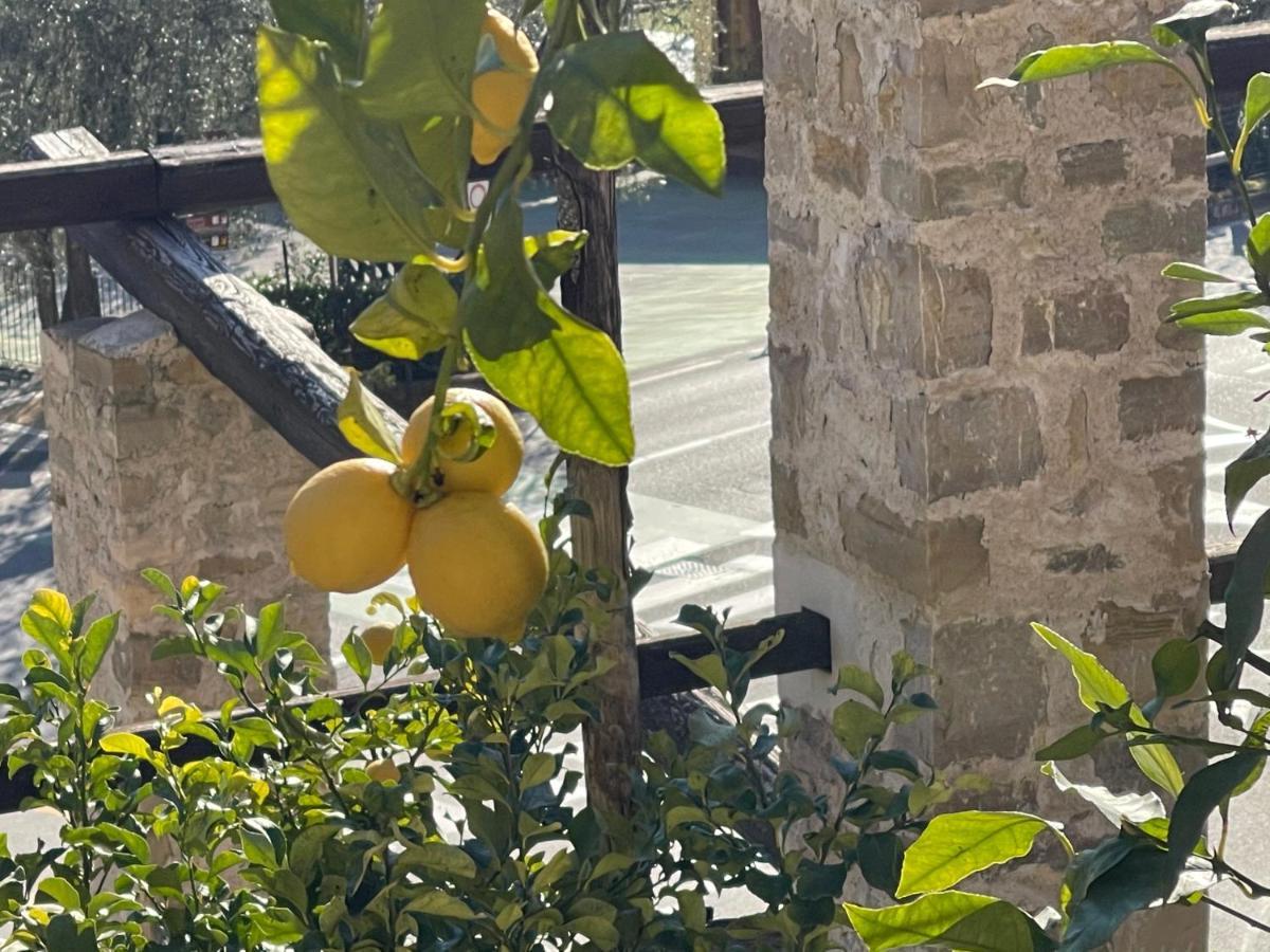 B&B Casa Limone Limone sul Garda Exteriör bild