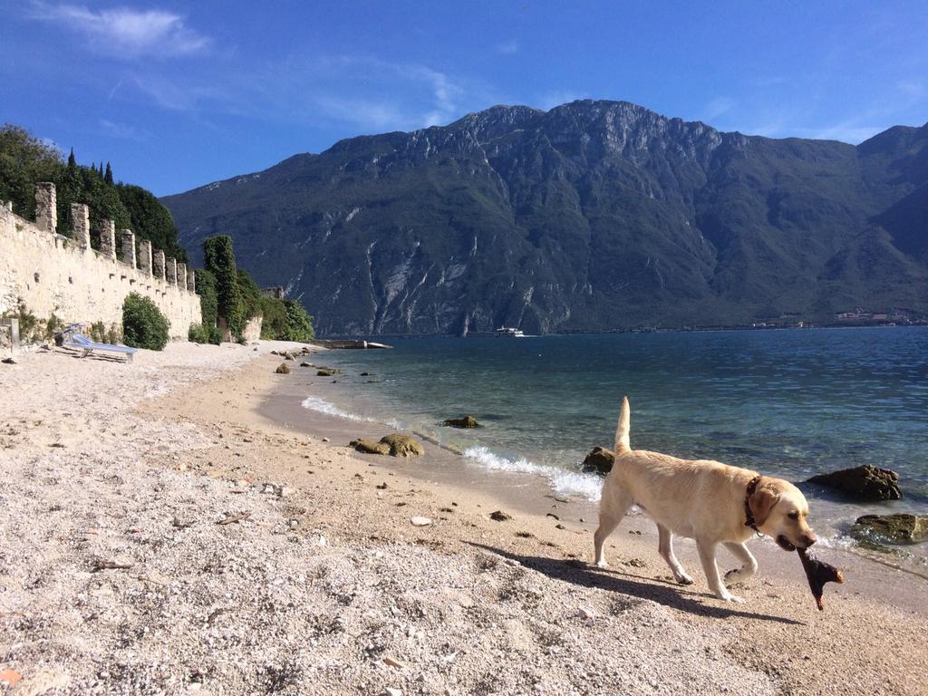 B&B Casa Limone Limone sul Garda Exteriör bild